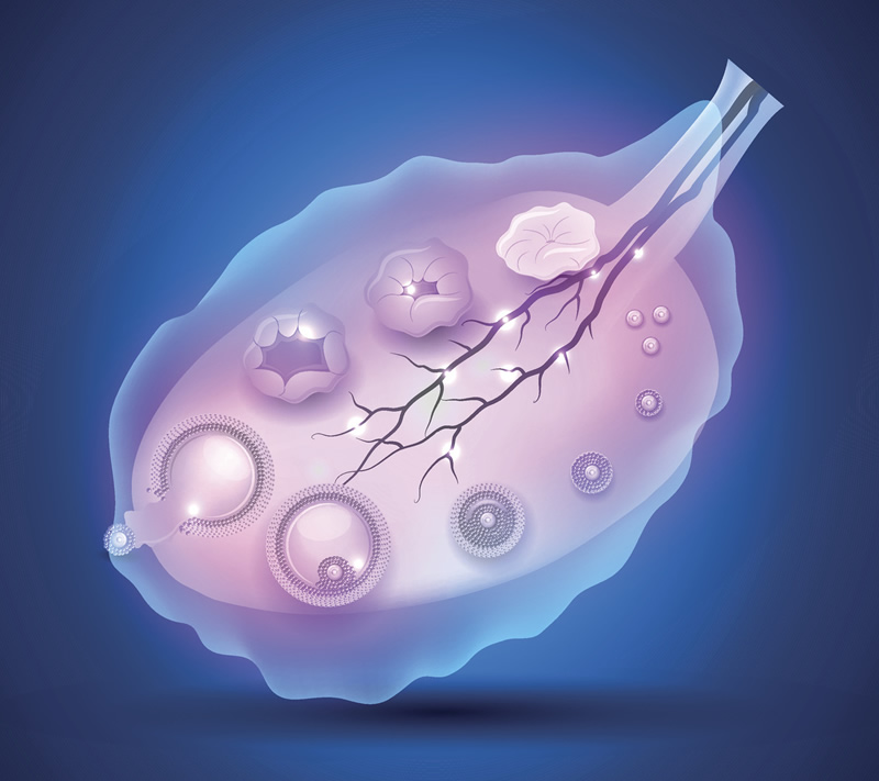 2026年兰州试管着床医院排名前三与前十汇总：高的三甲生殖中心与费用指南